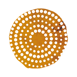 Experience Icon